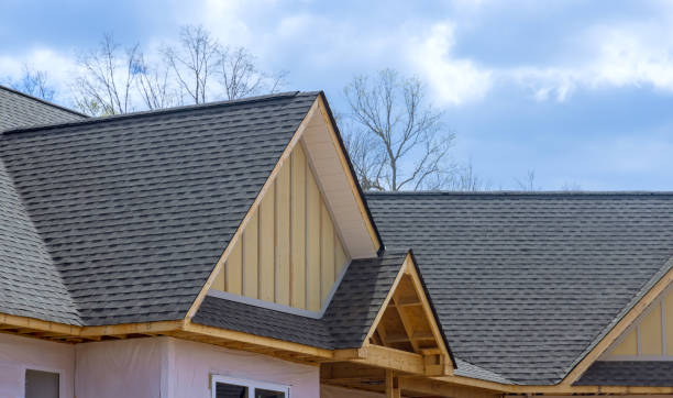 Professional Roofing in Mesquite, TX